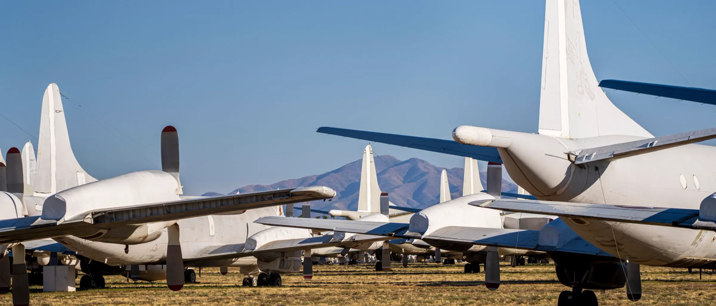 A row of retired airliners parked in a desert storage yard, tails and wings receding into the distance.